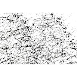 Montana Black Spider Effect Spray Paint - Spider web effect on paper