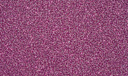 Krylon Glitter Blast Spray Paint - Fierce Fuchsia swatch