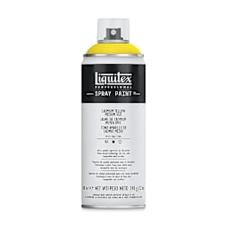Liquitex Professional Spray Paint - Cadmium Yellow Medium Hue, 400 ml can