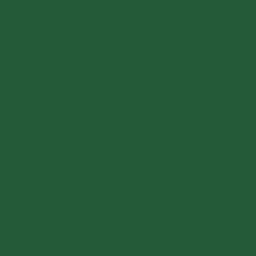 Liquitex Professional Spray Paint - Chromium Oxide Green swatch