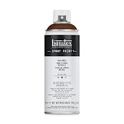 Liquitex Professional Spray Paint - Raw Umber, 400 ml can