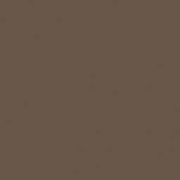 Liquitex Professional Spray Paint - Raw Umber 6 swatch