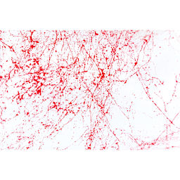 Montana Marble Effect Spray - Marble Red swatch