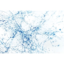 Montana Marble Effect Spray - Marble Blue swatch