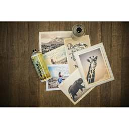 Montana Vintage Spray Filter - 400 ml (Assorted pictures sprayed with Vintage Spray Filter)