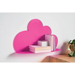 Krylon Neon Spray Paint - Neon Pink, 12 oz (Shelf spray painted with Neon Pink)