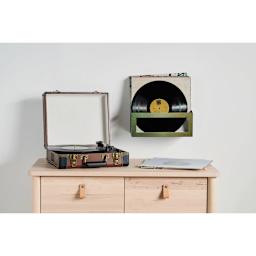 Krylon Color Morph Spray Paint - Green/Gold, 6 oz (Spray painted record shelf) 