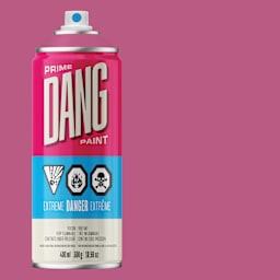 Dang Prime Spray Paint - Hot Pink, 400 ml can and swatch