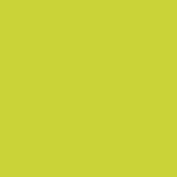 Dang Prime Spray Paint - Lime swatch
