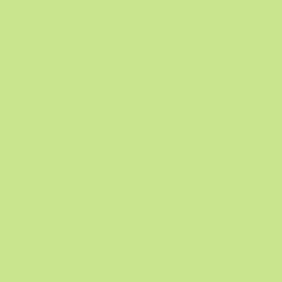 Dang Prime Spray Paint - Melon Green swatch