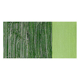 Sennelier Artists' Extra Fine Oil Paint - Sap Green swatch