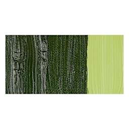 Da Vinci Artsits' Oil Paint - Sap Green swatch