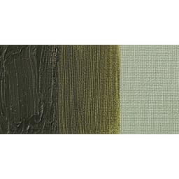 Maimeri Puro Oil Paint - Antique Green Earth swatch