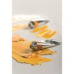 Earthtone Maimeri Classico Oil Paints with paint swatches.