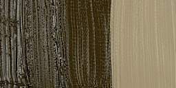 Maimeri Classico Oil Paint - Raw Umber swatch