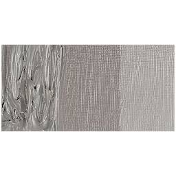 Williamsburg Handmade Oil Paint - NeutralGray-N6 swatch