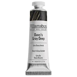 Williamsburg Handmade Oil Paint - Davy's Gray Deep, 37 ml tube