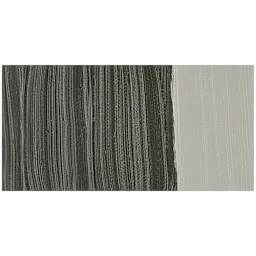 Williamsburg Handmade Oil Paint - Davy's Gray Deep swatch