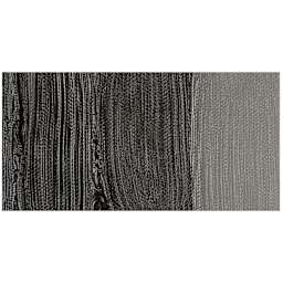 Williamsburg Handmade Oil Paint - Italian Black Roman Earth swatch