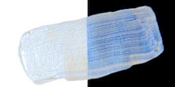 Tri-Art High Viscosity Artist Acrylic - Interference Blue swatch