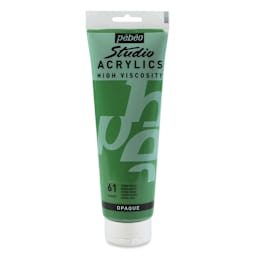 Pebeo High Viscosity Acrylics - Green Earth, 250 ml, Tube (Front)