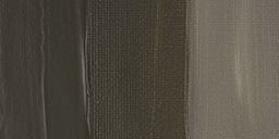 Chroma Atelier Interactive Artists' Acrylic Paint - Raw Umber swatch