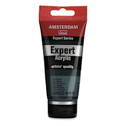 Amsterdam Expert Series Acrylics - Sap Green, 75 ml tube