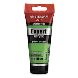 Amsterdam Expert Series Acrylics - Permanent Green Light, 75 ml tube