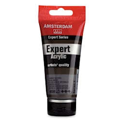 Amsterdam Expert Series Acrylics - Raw Umber, 75 ml tube