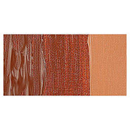 Amsterdam Expert Series Acrylic Paint - Burnt Sienna swatch