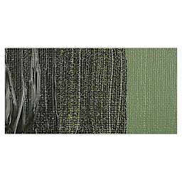 Amsterdam Expert Series Acrylic Paint - Olive Green swatch