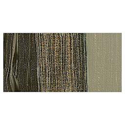 Amsterdam Expert Series Acrylic Paint - Raw Umber swatch