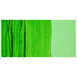 Chroma Acrylic Mural Paint - T-Rex swatch