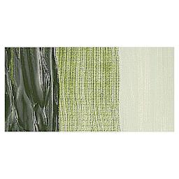 Old Holland New Masters Classic Acrylic Paint - Green Earth swatch