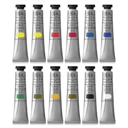 Winsor & Newton Professional Acrylics - Starter Set of 12 Colors, 20 ml tubes, out of packaging
