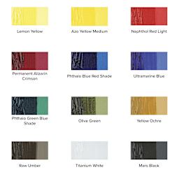 Winsor & Newton Professional Acrylics - Starter Set of 12 Colors, 20 ml tubes, swatches