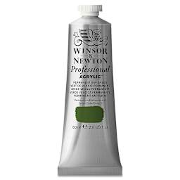 Winsor & Newton Professional Acrylics - Permanent Sap Green, 60 ml tube