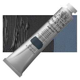 Winsor & Newton Professional Acrylic Paint - Payne's Gray, 200 ml tube and swatch