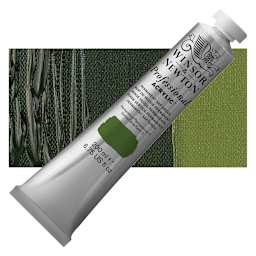 Winsor & Newton Professional Acrylic Paint - Permanent Sap Green, 200 ml tube and swatch
