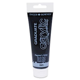 Daler-Rowney Graduate Acrylics - Payne's Gray, 120 ml tube