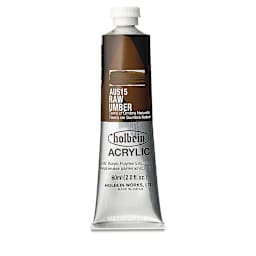 Holbein Heavy Body Artist Acrylics - Raw Umber, 60 ml tube