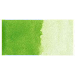 Kuretake Gansai Tambi Watercolor Pan - Pea Green swatch