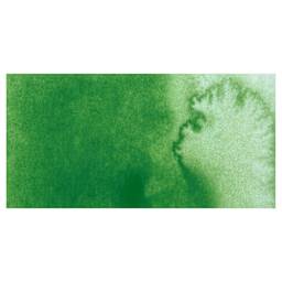 Kuretake Gansai Tambi Watercolor Pan - Ivy Green swatch
