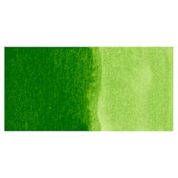 Kuretake Gansai Tambi Watercolor Pan - Sap Green swatch