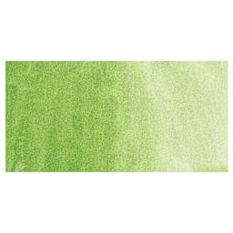 Kuretake Gansai Tambi Watercolor Pan - Pearl May Green swatch