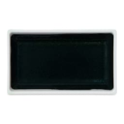 Kuretake Gansai Tambi Watercolor Pan - Forest Green