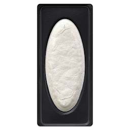 Richeson Collegiate Semi-Moist Watercolor Pans - closeup of Mirror white pan