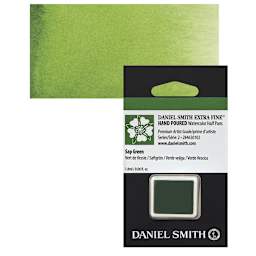 Daniel Smith Extra Fine Watercolor Half Pan - Sap Green and swatch