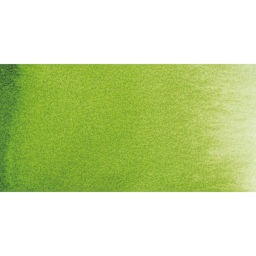 Daniel Smith Extra Fine Watercolor Half Pan - Sap Green swatch