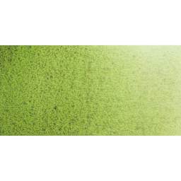 Daniel Smith Extra Fine Watercolor Half Pan - Green Apatite Genuine swatch